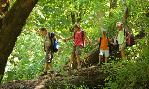 kids hiking_16098280.jpg kids hiking_16098280.jpg